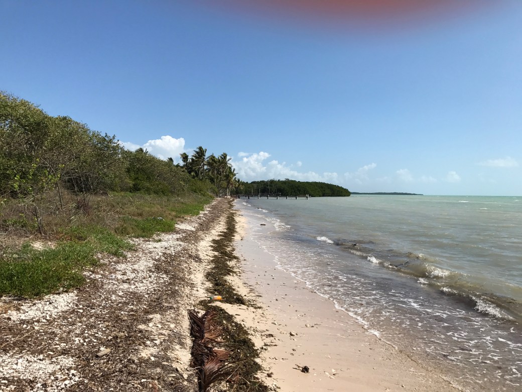 03317dab-36c2-438c-bbff-60098a774170