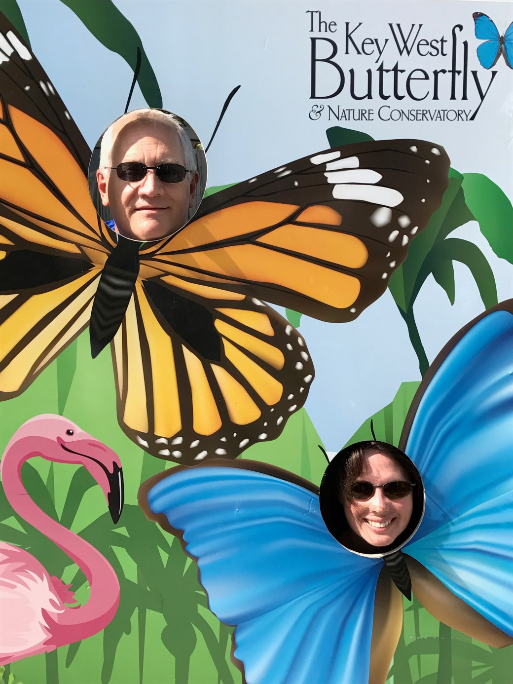 98974328-ce9c-441c-b9fb-f4640b32d3b3