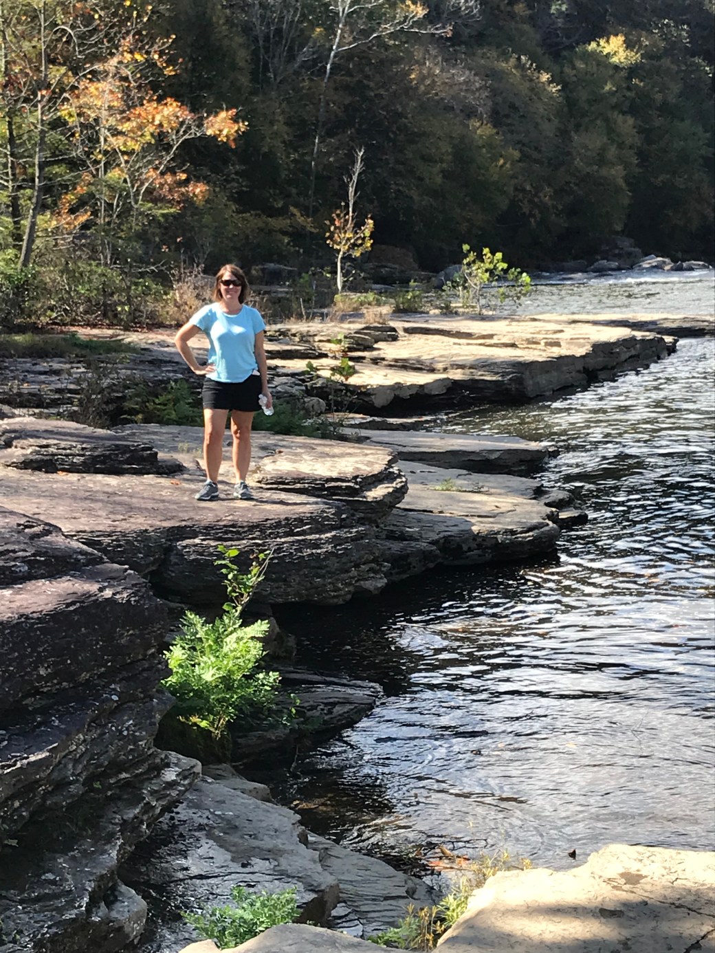 D55BA5BE-7A66-45A9-BC91-8ED9DA9AA6F9