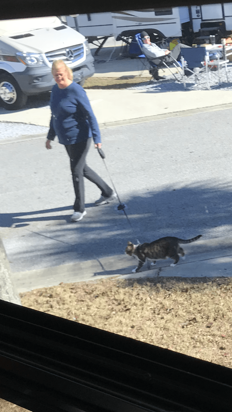 75C5B02A-BBC6-4FAB-8FE2-4314D11330B7