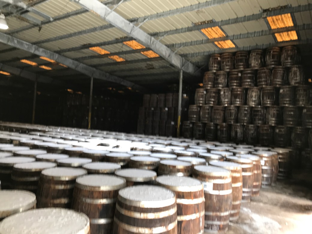 5FA73B62-67C8-4CFD-AD26-D4BA036B12C2