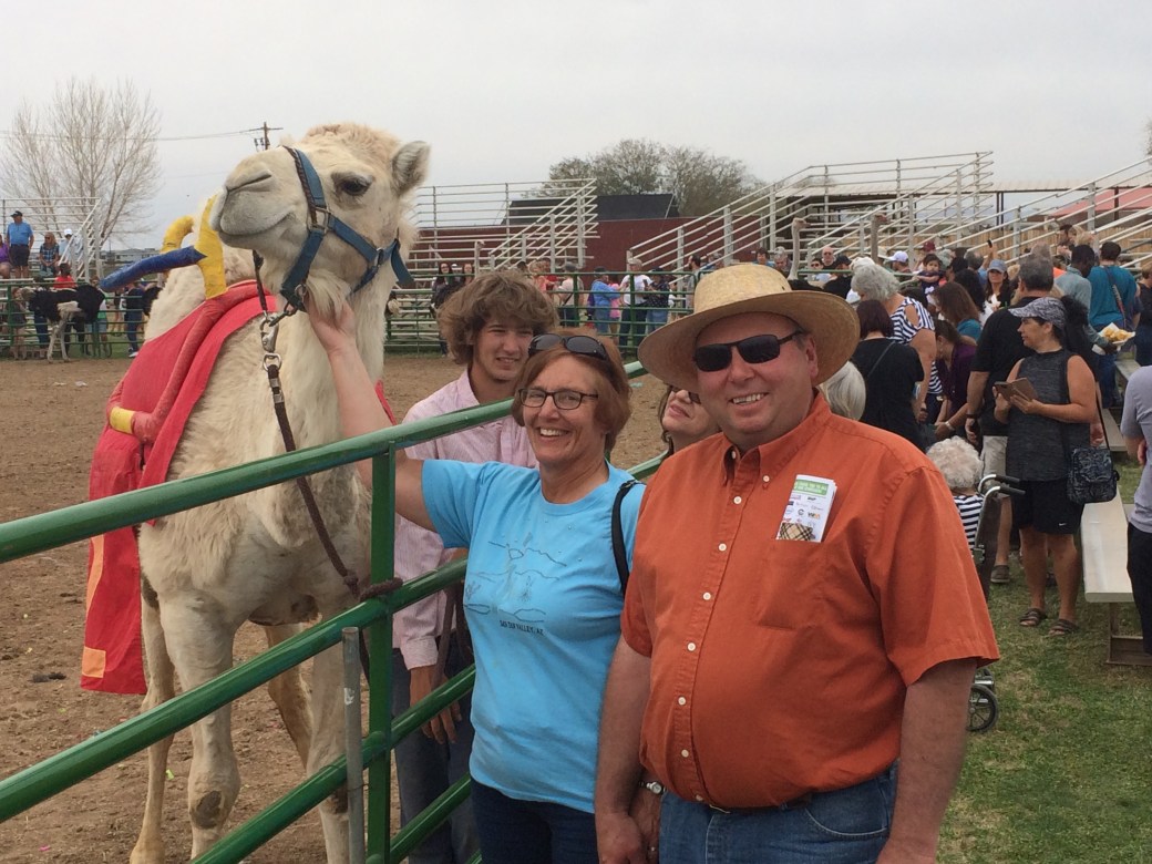 13286799-CC0B-4C91-A534-A59B4BF91FF8