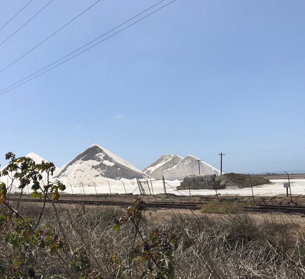 88C1D487-F5C8-4AF8-B091-E92CB3A8BF43