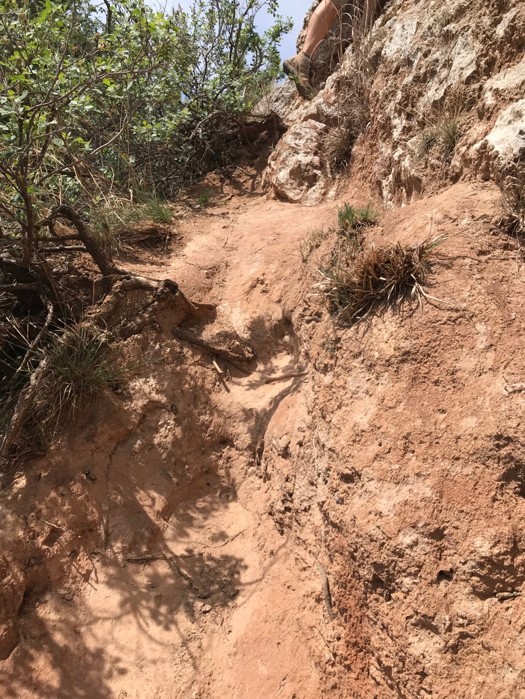 06CB2FC3-48D5-48E7-B142-A718DD70CA74