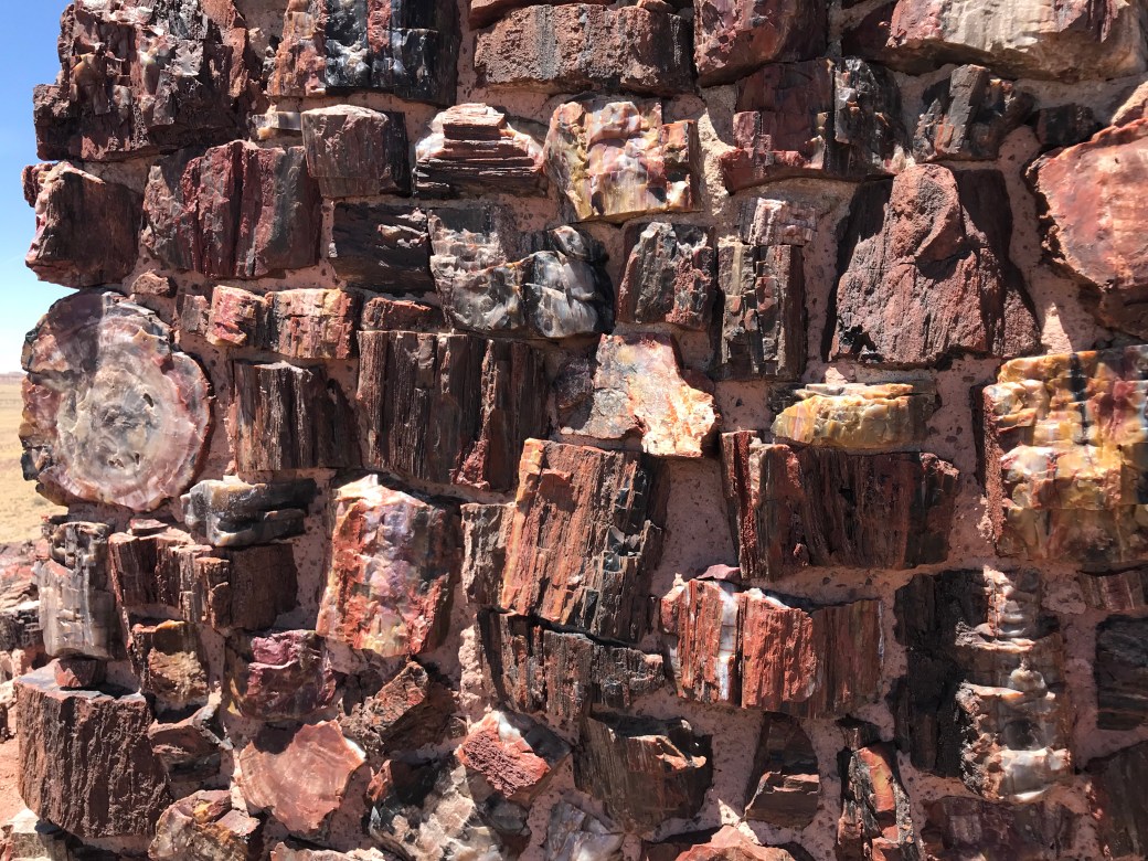 D9FE6562-A652-4596-972D-DF5BE2D00011