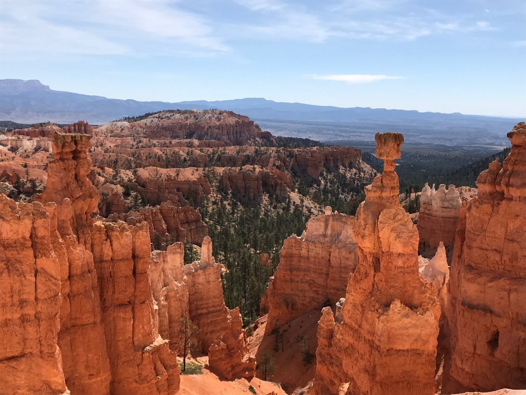 FAF15A32-57F7-4459-A7EE-E7BBAC05B74C