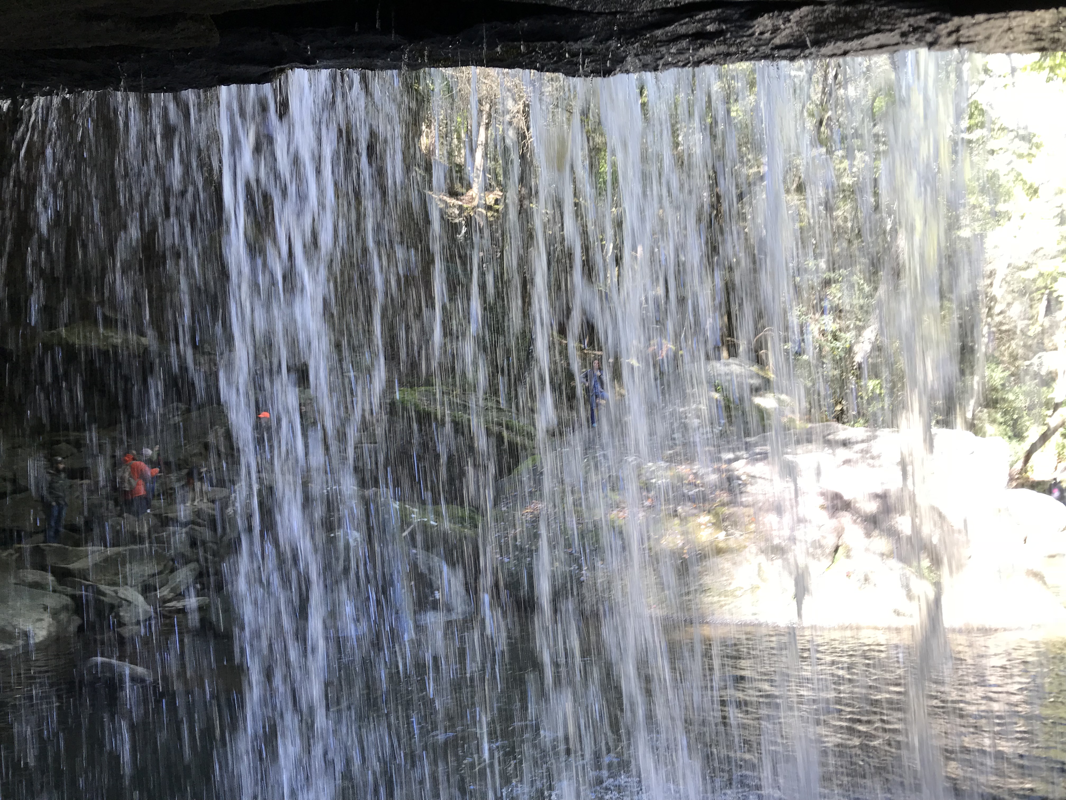 0747D815-6175-46B2-A34E-551E089F7694