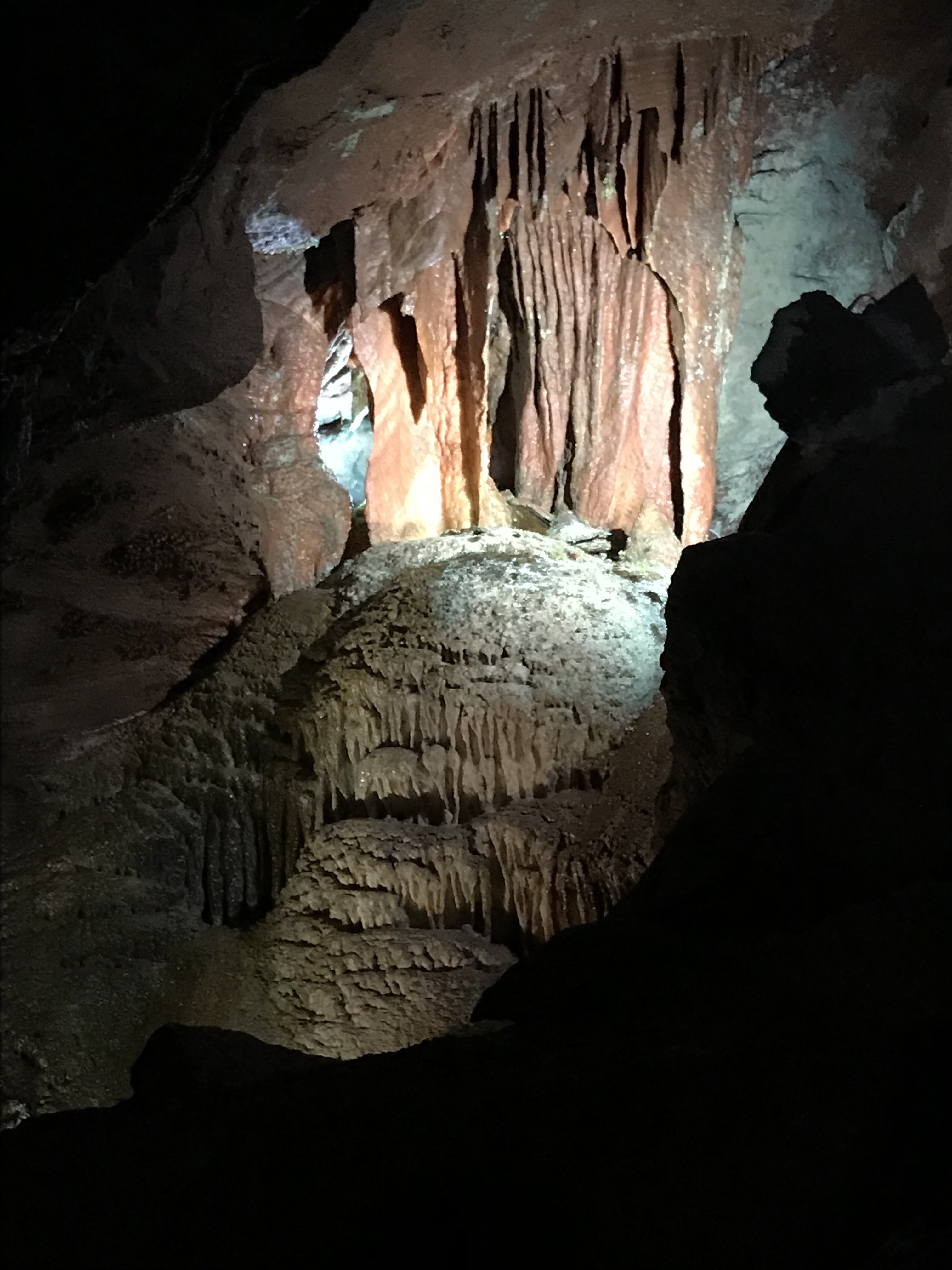 88934A58-8C2D-4B13-AC64-44DA2DF53A82