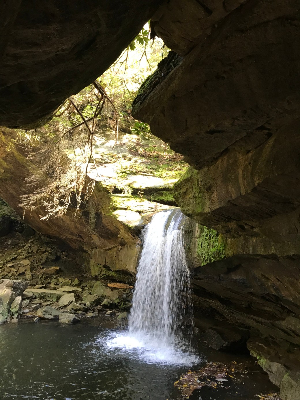 B5634854-6E71-49BA-9AE2-27CC68B8867A