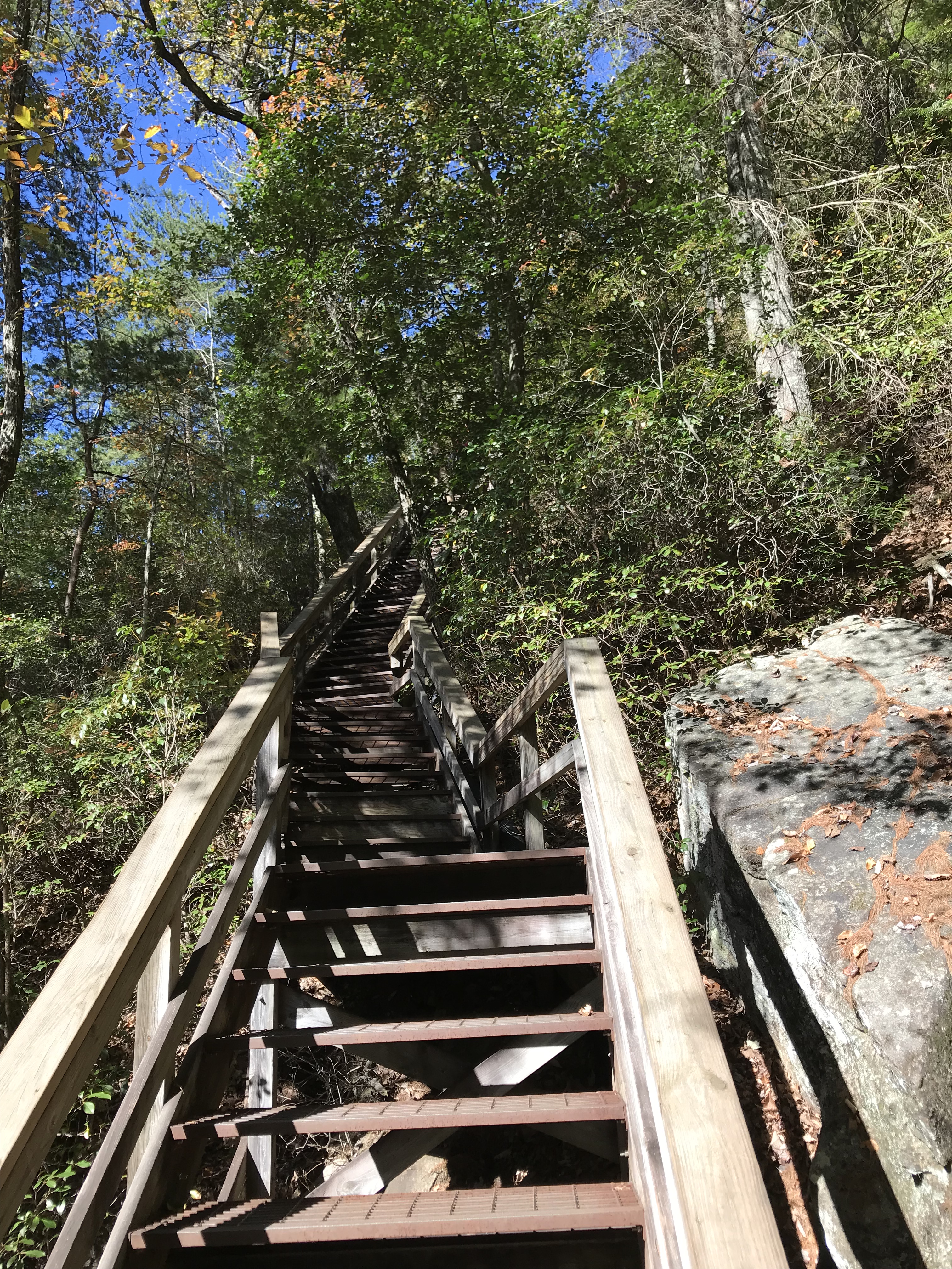 BDC636B3-8EB1-425B-9943-AE5DAA5B5FF3