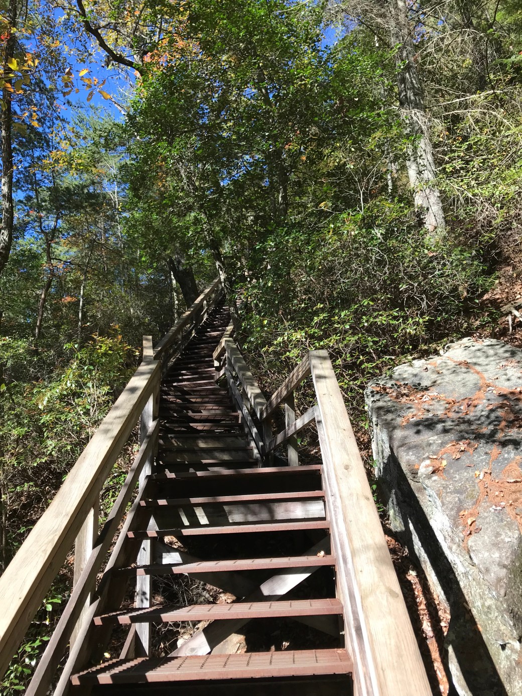 BDC636B3-8EB1-425B-9943-AE5DAA5B5FF3