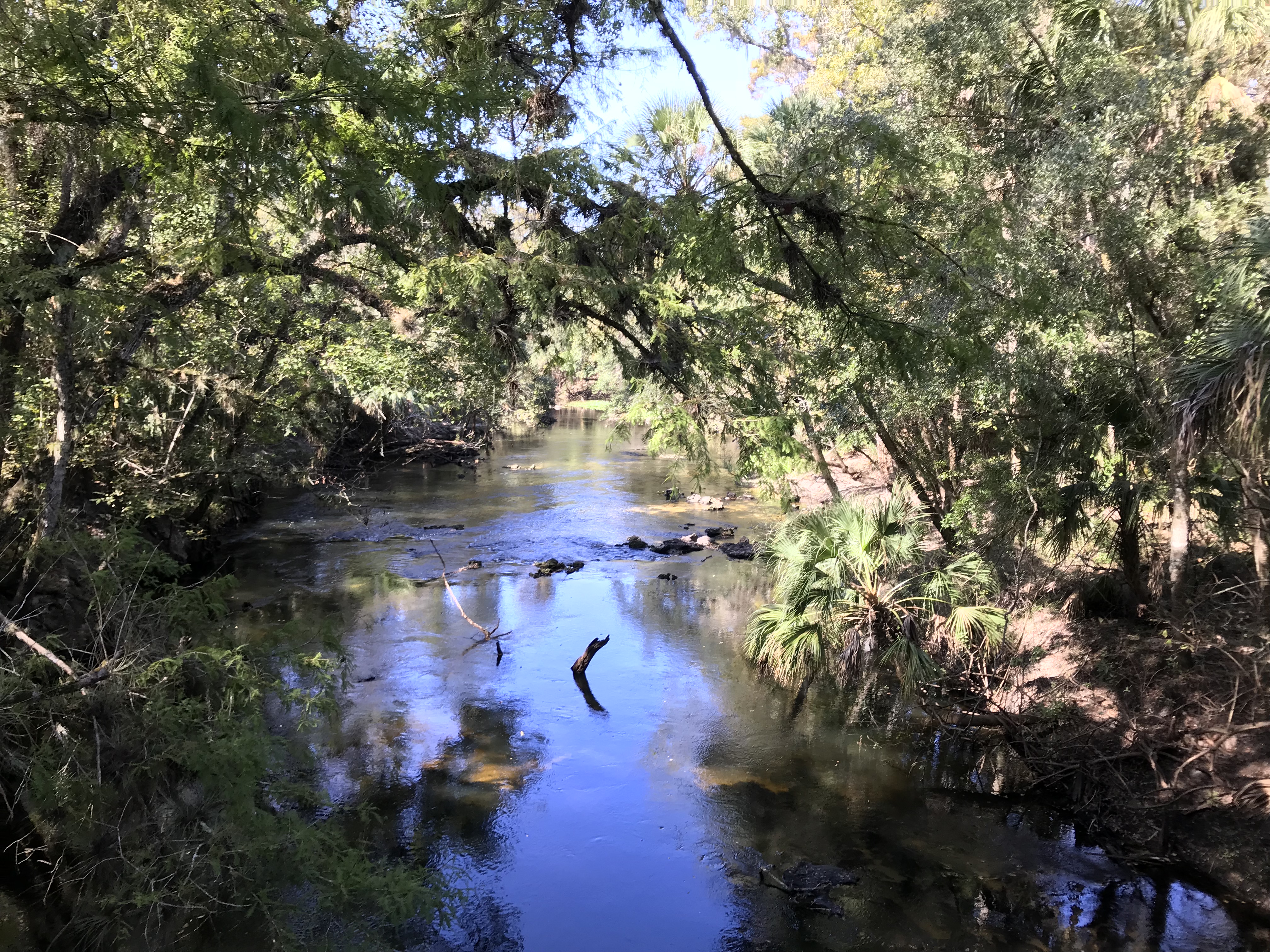 64273E0F-59C8-40A9-A6E2-FF6B9B0972ED