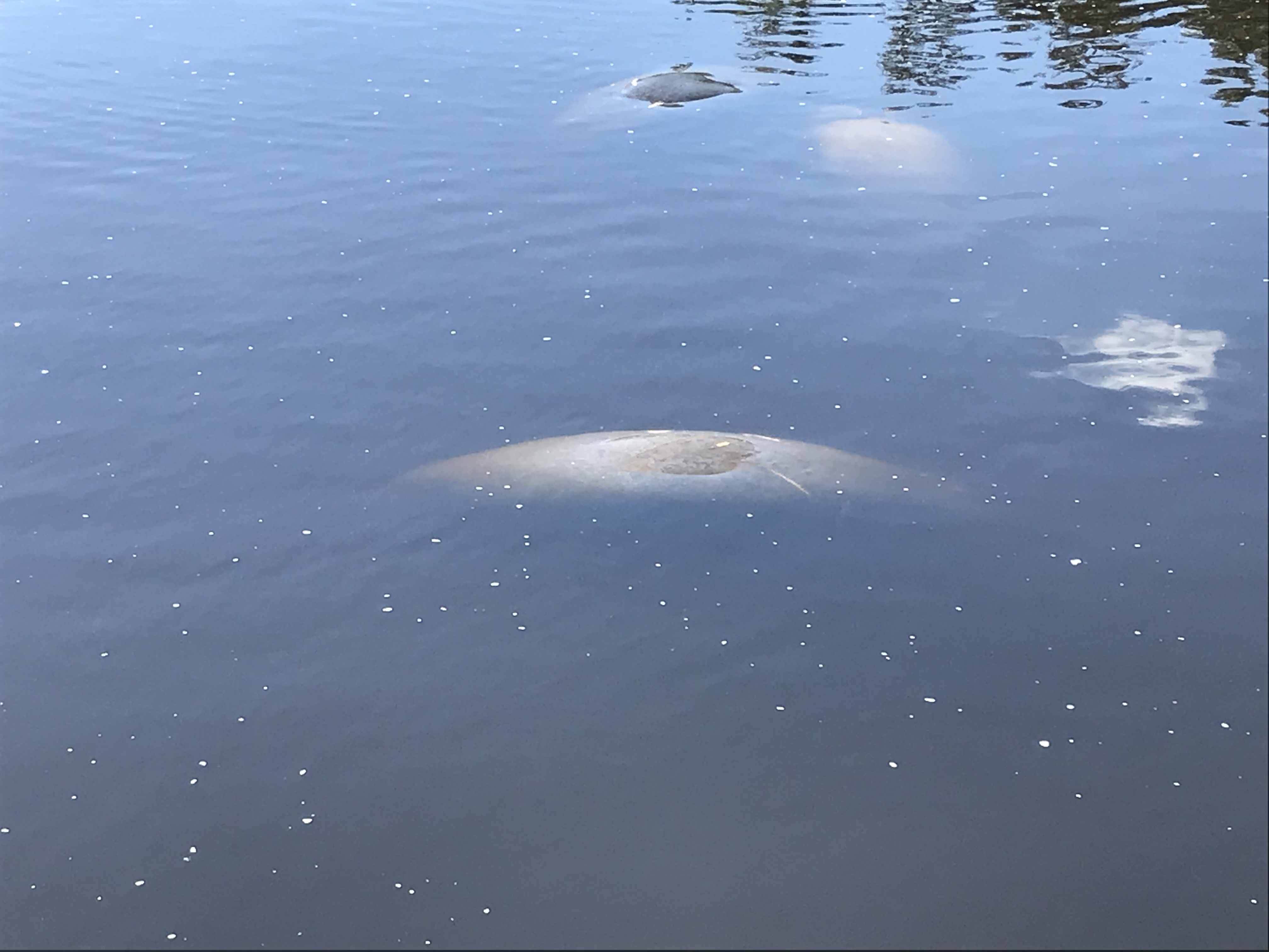 A093AB01-6A25-4DBA-8C14-894E058FE3A0