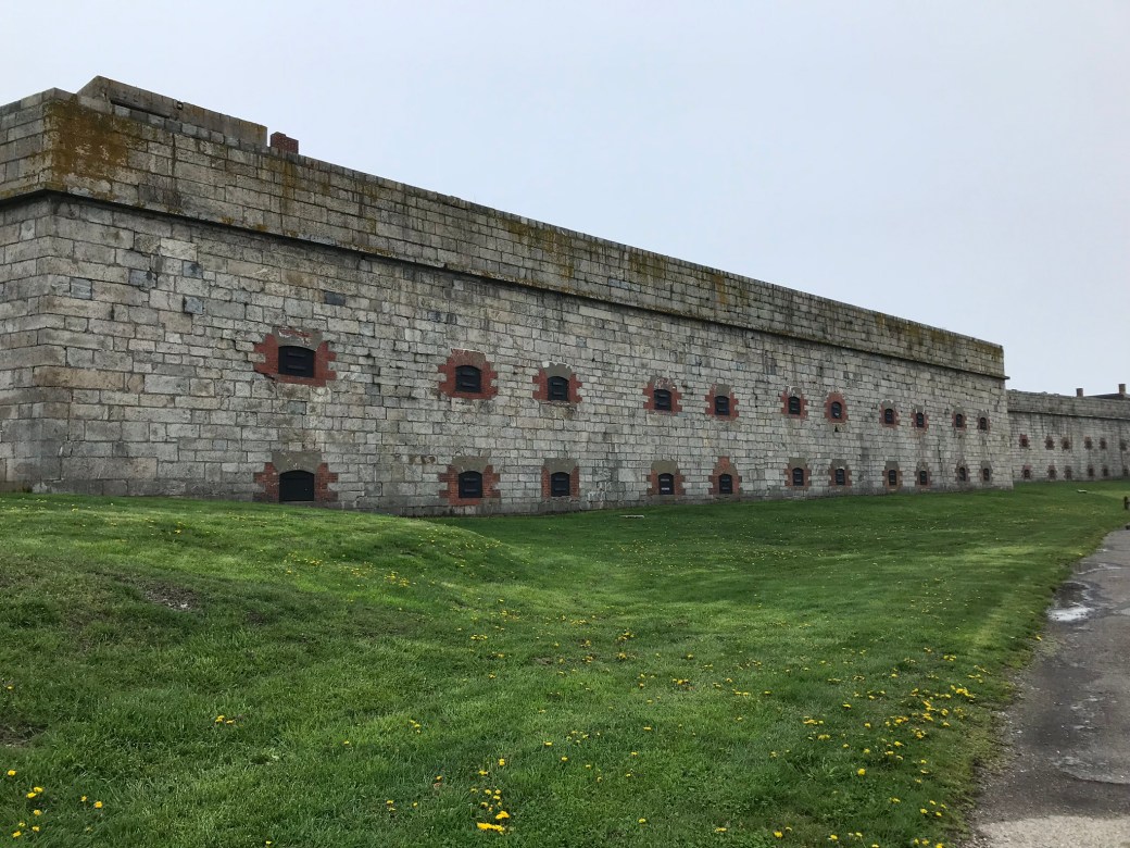 F7F3FBAD-61AA-415D-8DC4-BA38C93AE8F4